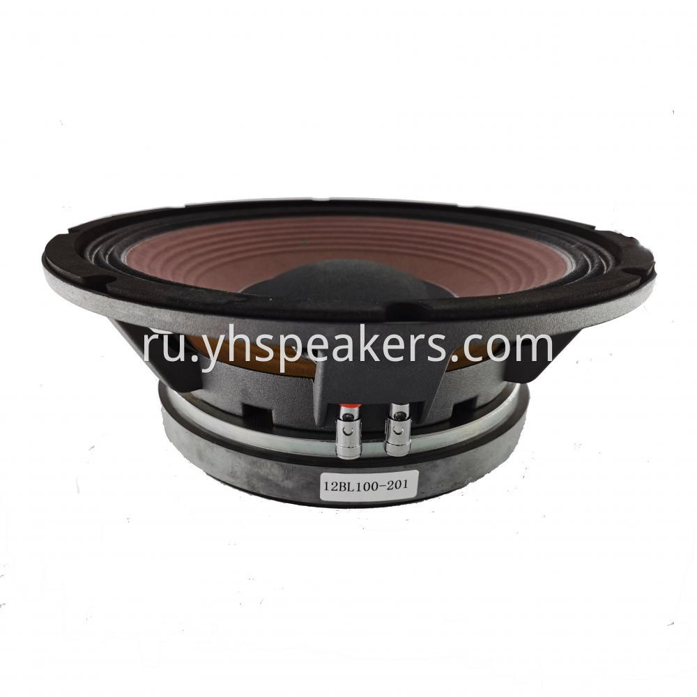 High Power 600 Watts 12" Pro Audio Speaker